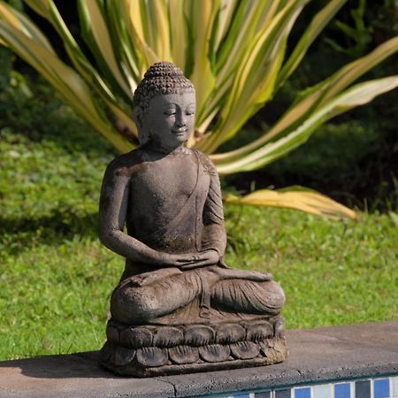 Villa Kelapa ロヴィーナ エクステリア 写真
