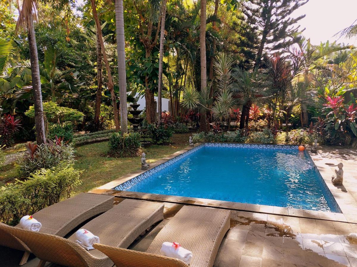 Villa Kelapa ロヴィーナ エクステリア 写真