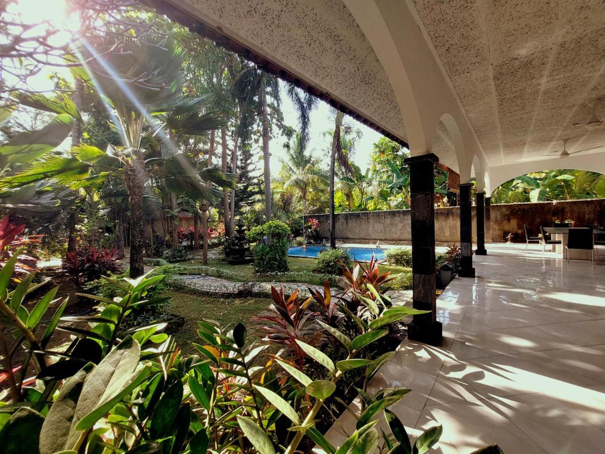 Villa Kelapa ロヴィーナ エクステリア 写真
