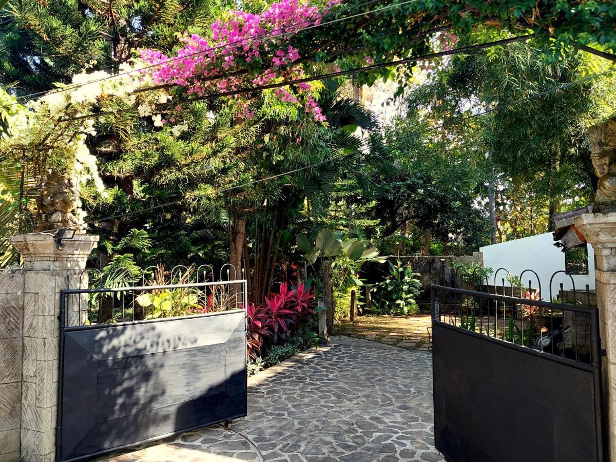 Villa Kelapa ロヴィーナ エクステリア 写真