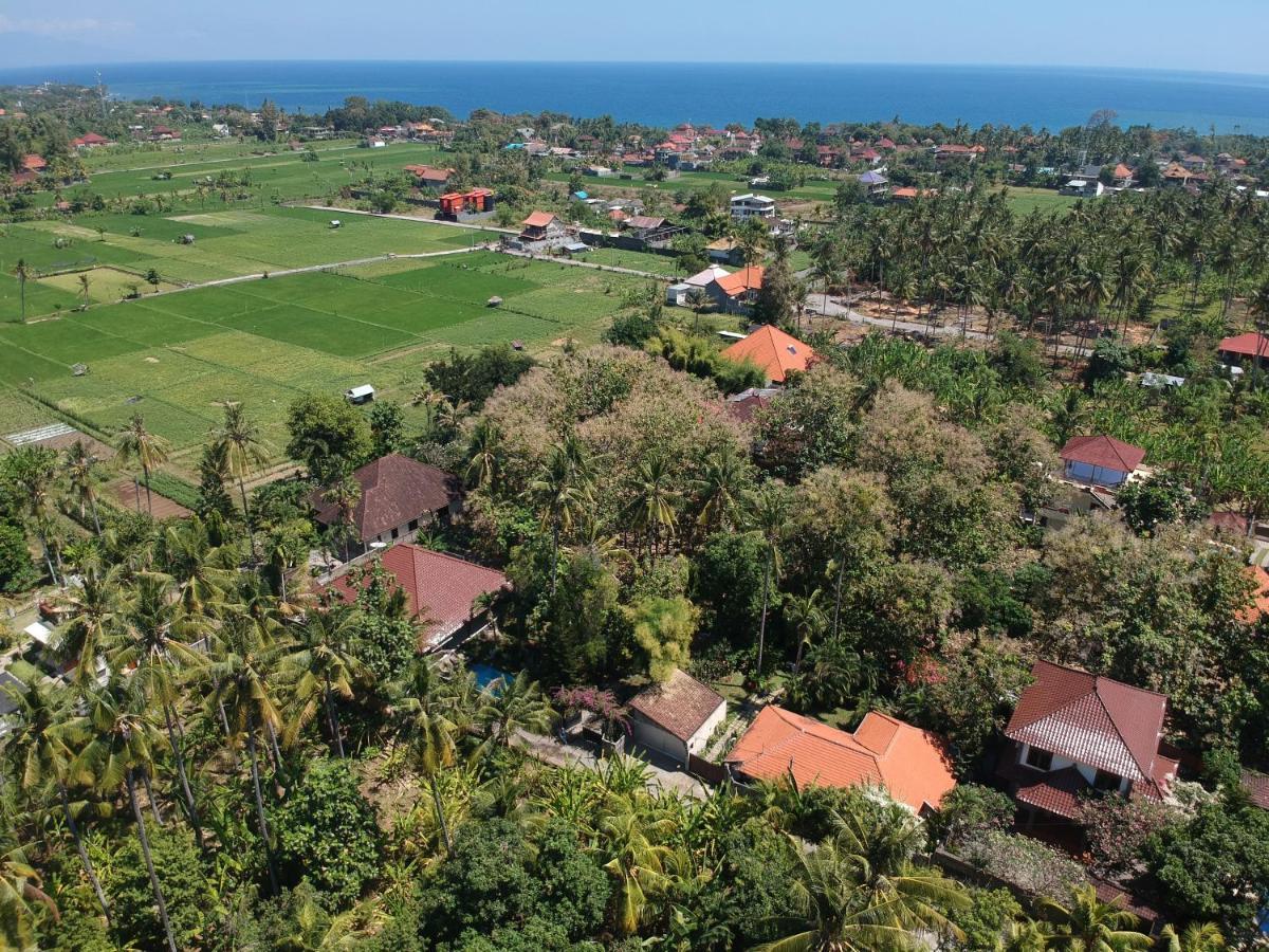 Villa Kelapa ロヴィーナ エクステリア 写真